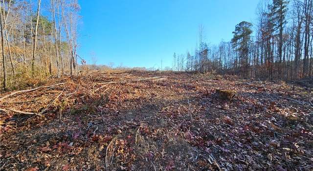 Photo of TBD Shelton Store Rd, Wingina, VA 24599