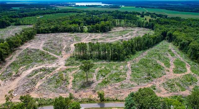 Photo of 86.955 acres Salem Church, King George, VA 22485