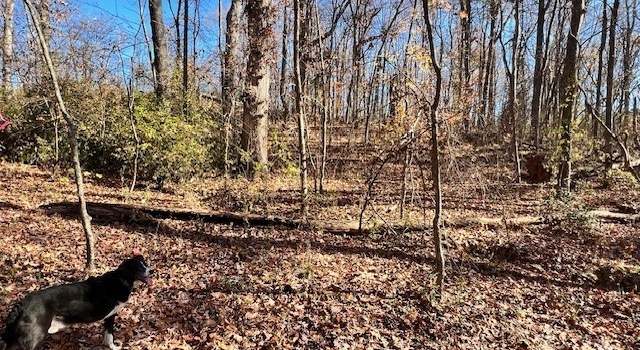 Photo of 2799 River, Goochland, VA 23063