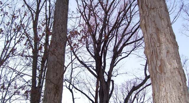Photo of 0000 Hermitage Rd, Glen Allen, VA 23228