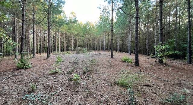 Photo of TBD Winnsville Dr, Bremo Bluff, VA 23022