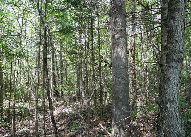Property at +/-8.25 Acres Mulberry Ln, Medford, WI 54451