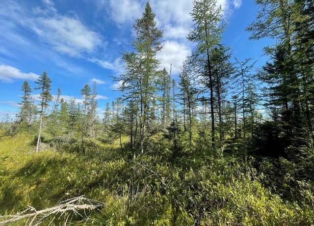 Property at Swamp Rd, Tomahawk, WI 54487