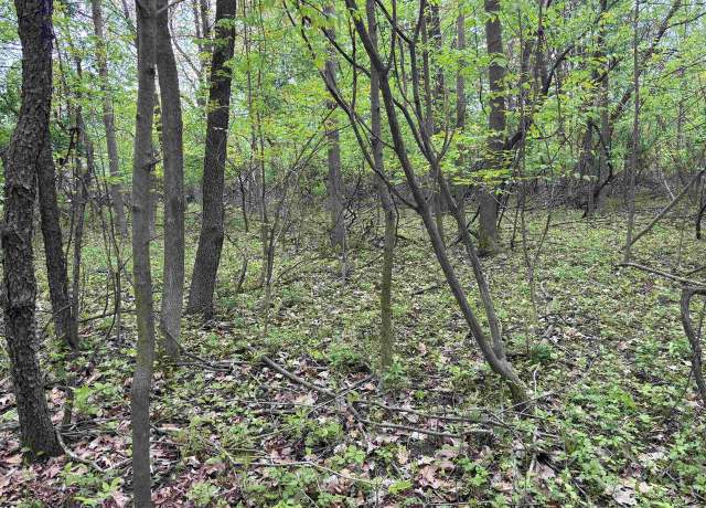 Property at .85 acres Lorrel St, Mosinee, WI 54455