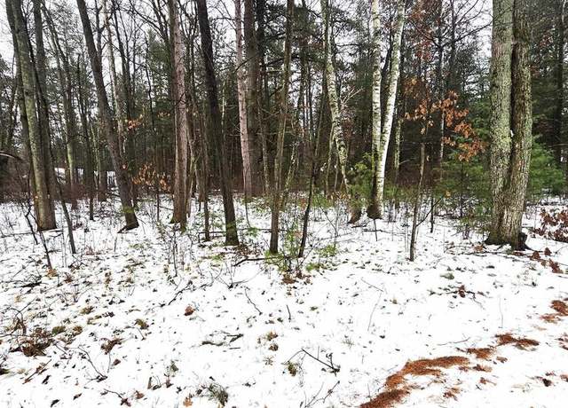 Property at Lots 2 & 3 Kaufman Rd, Tomahawk, WI 54487