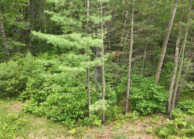 Property at Lots 2 & 3 Kaufman Rd, Tomahawk, WI 54487