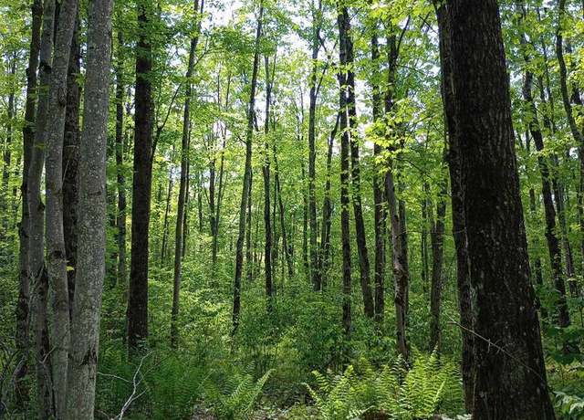 Property at 10 acres Bridge Ln, Glen Flora, WI 54526