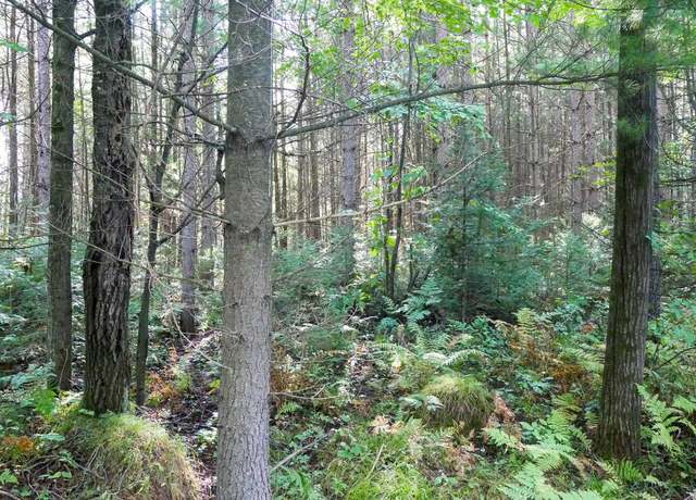 Property at +/-2.82 Acres Grassy Knoll Trl, Medford, WI 54451