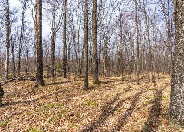 Property at Lot# 11 Tarin Ln, Gleason, WI 54435