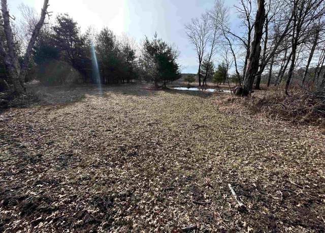 Property at State Highway 153 East, Bevent, WI 54440