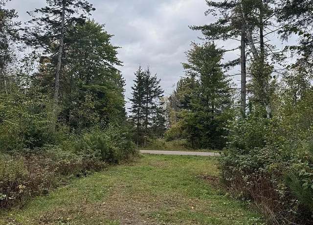 Property at Lot 4 Pine Shore Ln, Tomahawk, WI 54487