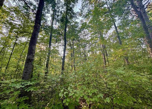 Property at .55A ON Scipio Ave, Unknown, WI 54843