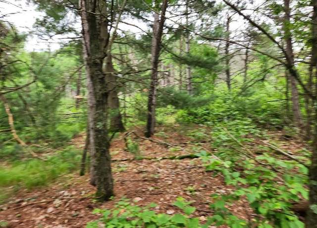 Property at W3190 4th Street East, Nekoosa, WI 54457