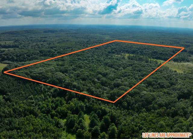 Property at 0000 Heintown Rd, Willard, WI 54493