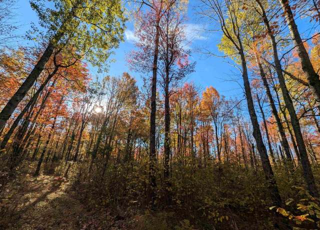 Property at Off Worcester Lake Rd, Prentice, WI 54556