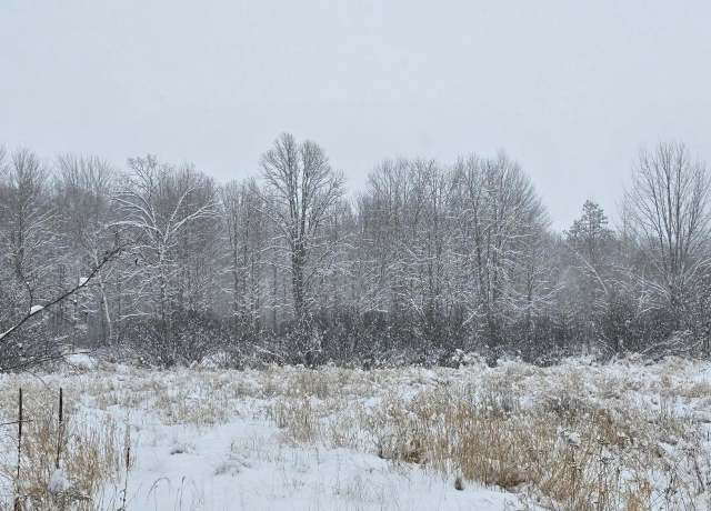 Property at +/-3.87 Pine Ln, Gilman, WI 54433