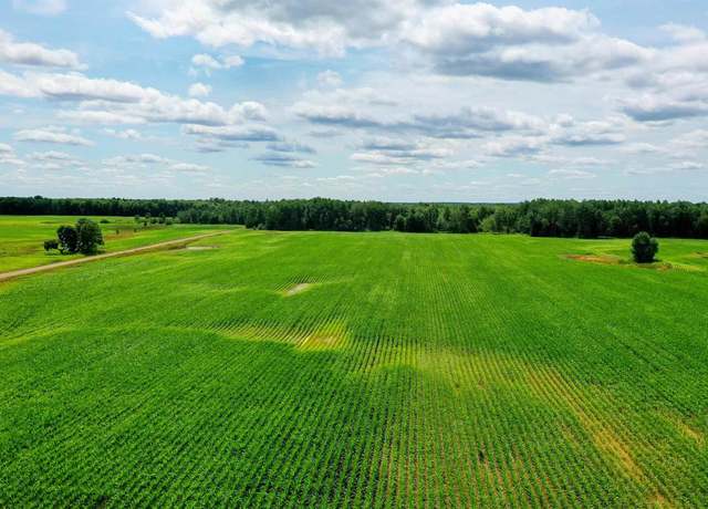 Property at +/-196.61 Acres Wiese Dr, Rib Lake, WI 54470