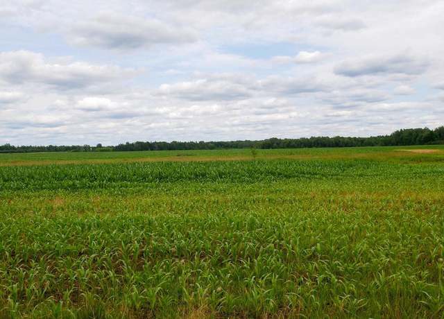Property at +/-19.85 Acres Wiese Dr, Rib Lake, WI 54470