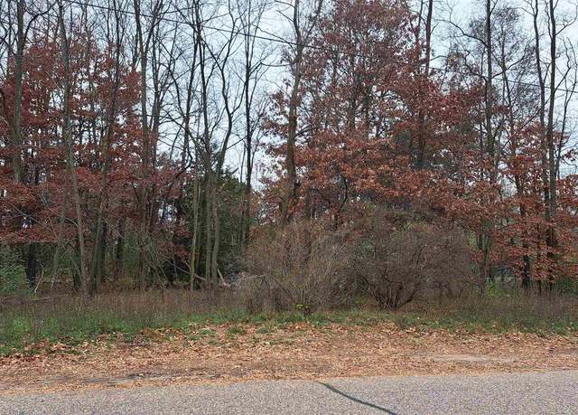 Property at Lot 14 Elm St Unit Village of Whiting, Stevens Point, WI 54481