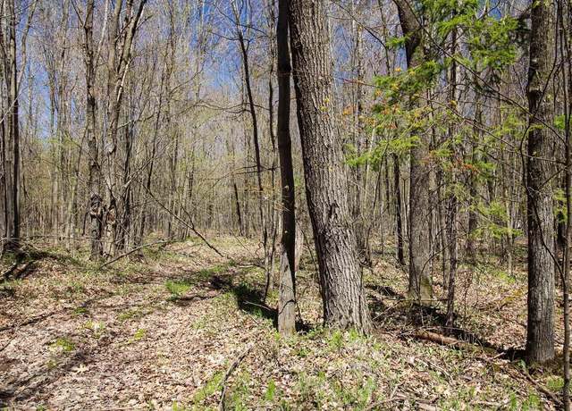 Property at +/- 40.16 Peche Dr, Medford, WI 54451