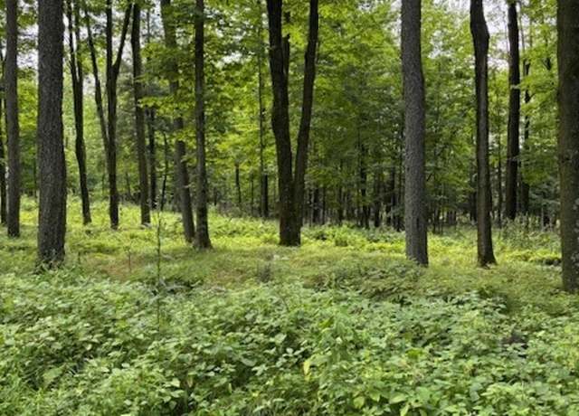 Property at 80 Acres N Branch Rd, Wittenberg, WI 54499