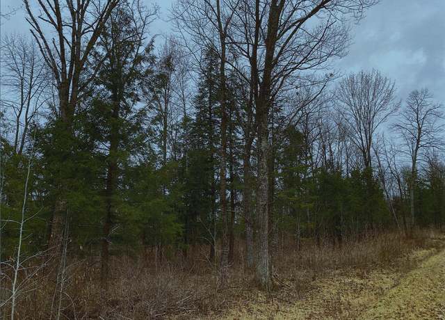 Property at Maple Leaf Rd, Marathon, WI 54448
