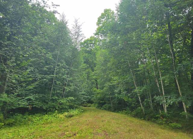 Property at 0 St. Johns Ln, Crandon, WI 54520