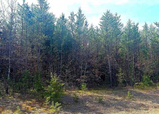 Property at Lot 29 Red Tail Hawk Dr Lot 29 Snowy Owl Roa, Stevens Point, WI 54482