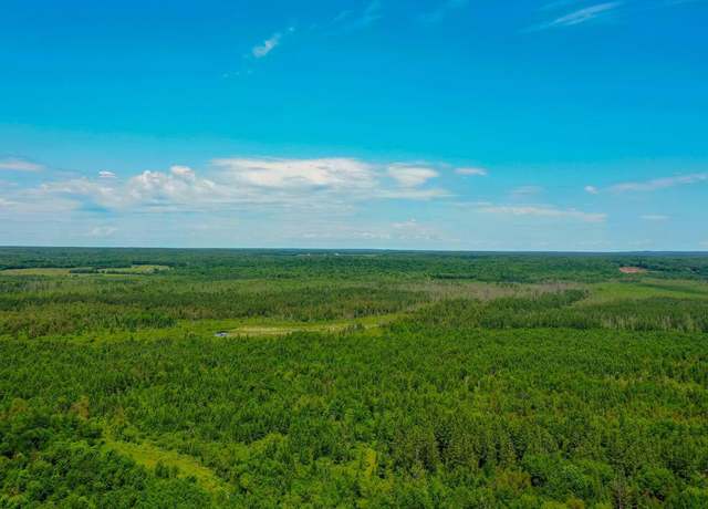 Property at +/-79.03 Acres Center Ave, Medford, WI 54451
