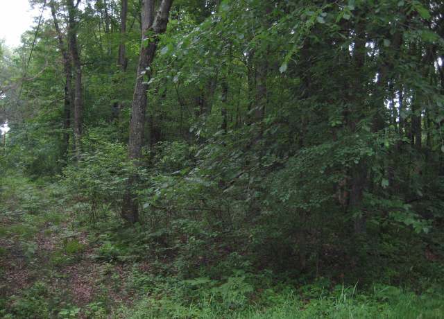 Property at Lot 4 Algoma St Unit Badger Avenue, Stevens Point, WI 54482