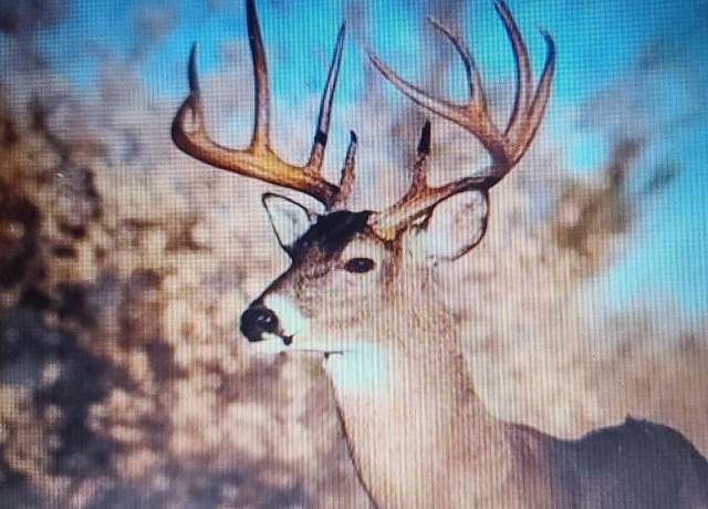 Property at 80 ACRES County Road I, Rosholt, WI 54473