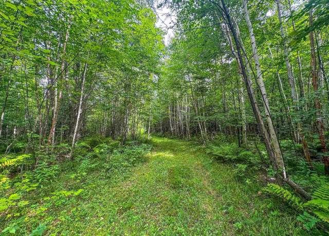 Property at 93.89A on Kundinger Rd, Park Falls, WI 54552