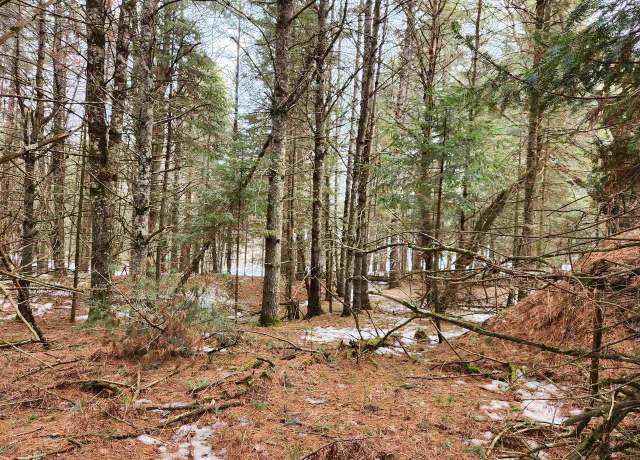 Property at 5912 W Twin Lake Rd, Hazelhurst, WI 54531