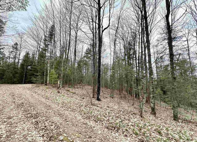 Property at 10 Acres State Highway 55, Ainsworth, WI 54462