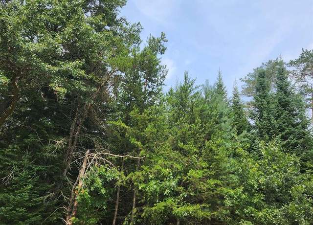 Property at Parcel #0703692 Dewberry Ln, Wisconsin Rapids, WI 54494