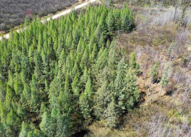 Property at +/-76.79 Acres Wellington Lake Dr, Medford, WI 54451