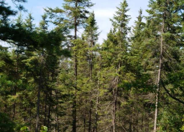 Property at Near Joe Snow Rd Unit Sale 2042, Merrill, WI 54452