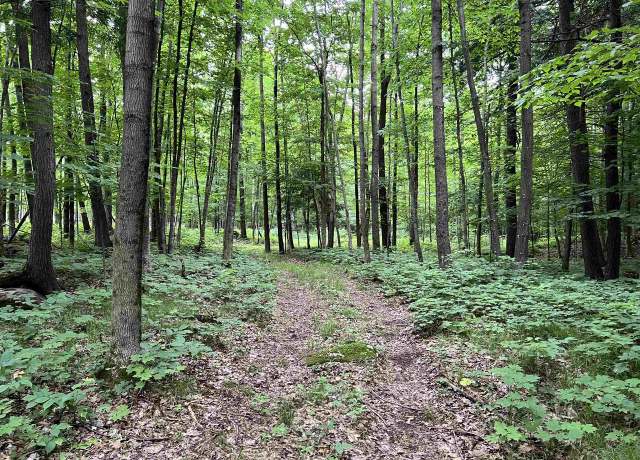 Property at Lot 1 Prehn Dr Unit NE1/4 NW1/4,Sect. 16, Maine, WI 54401