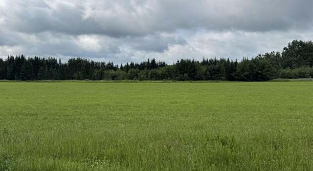 Photo of 35.39 Acres Mission Lake Rd, Elderon, WI 54427