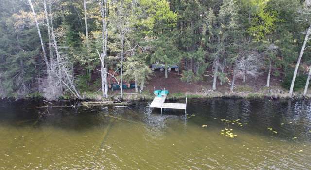 Photo of LOT 19 Wistful Vista Rd, Wolf River, WI 54491