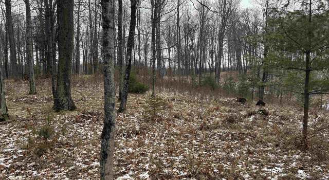 Photo of 002 Cnossen Ln, Hatley, WI 54414