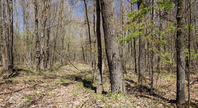 Photo of +/- 40.16 Peche Dr, Chelsea, WI 54451