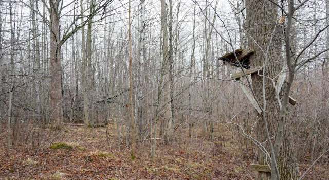 Photo of 25.89 Acres County Road M, Gilman, WI 54433