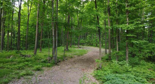 Photo of 0000 Grudgeville Rd, White Lake, WI 54491
