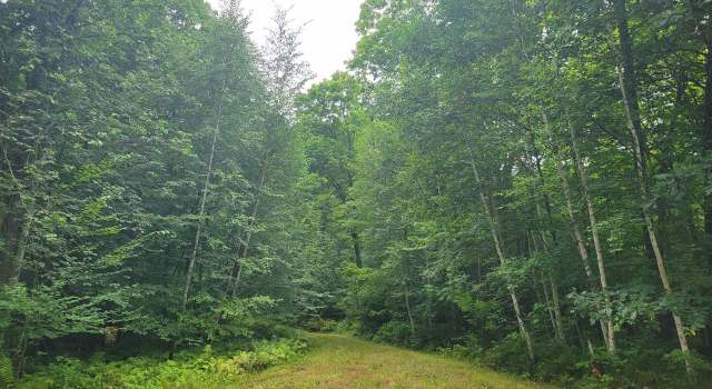 Photo of 0 St. Johns Ln, Nashville, WI 54520
