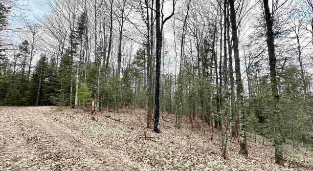 Photo of 10 Acres State Highway 55, Pearson, WI 54462