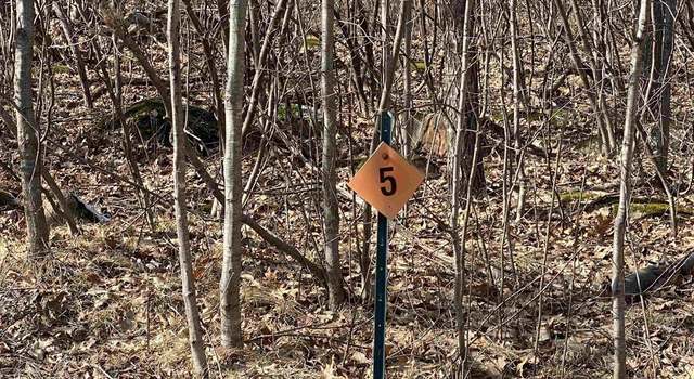 Photo of Lot 5 Acorn Ridge Rd, Mosinee, WI 54455