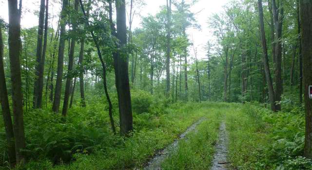 Photo of 0 Highway 34, Mosinee, WI 54455