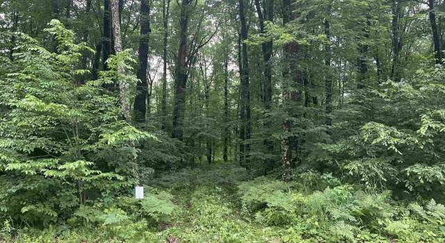 Photo of Lot 17 Dubay Dr, Mosinee, WI 54455