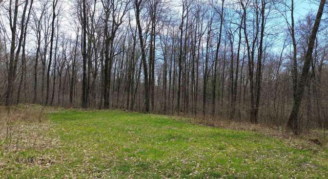 Photo of 1711 Guernsey Dr, Amherst Junction, WI 54407